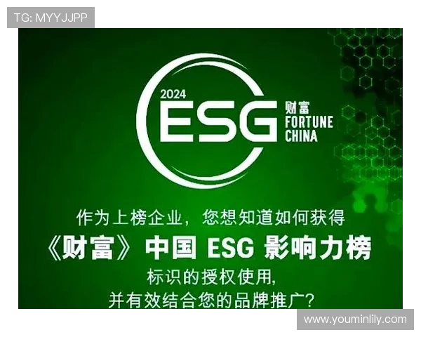 资本家与企业家在现代经济中的角色与影响力分析：从创新驱动到社会责任的转变